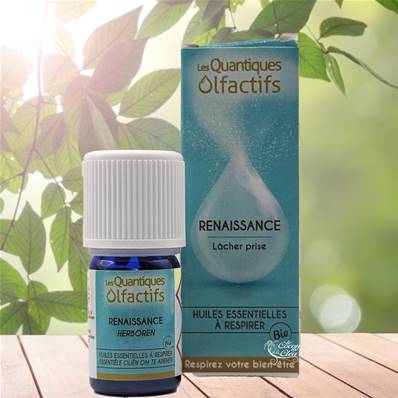 Herbes et Traditions - Quantiques Olfactifs - Renaissance - 5ml