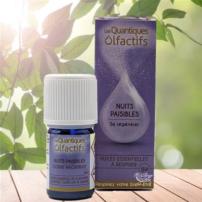 Herbes et Traditions - Quantiques Olfactifs - Nuits paisibles - 5ml