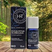 Herbes et Traditions - Huile Essentielle - Eucalyptus Globuleux Bio 10ml